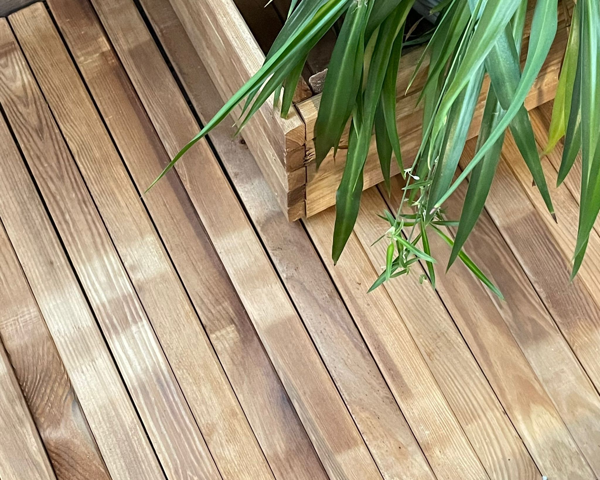 wooden garden path